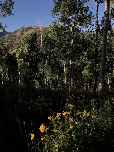 Video leaks roseyspeach