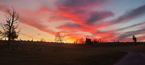 Video leaks rotnmilk