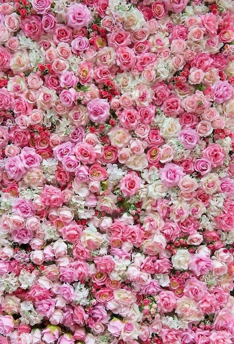 Video leaks rredrabbit