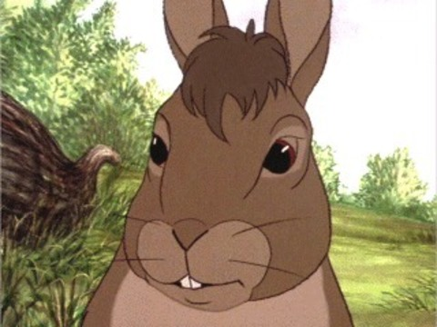 Video leaks rubblecoy