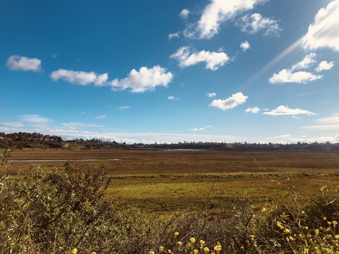 Video leaks sabrina_lynn