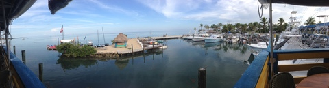 Video leaks saltyfish