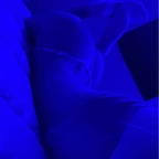 sarahmiller8 (Sarah miller) OnlyFans content 

 profile picture