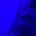 ✨Sarah✨ (sarahxxx_03) Leak OnlyFans 

 profile picture