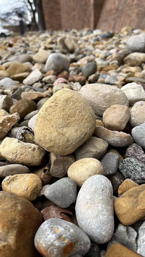 Video leaks sarasbananaboat