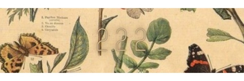 Video leaks sashaxeclipse