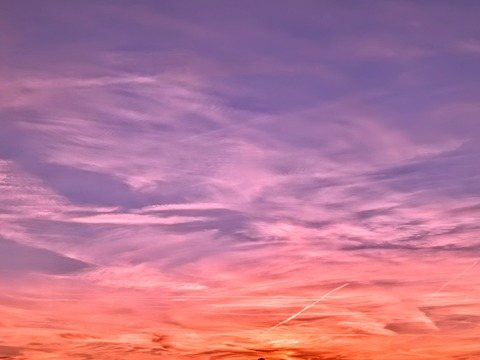 Video leaks saturatedfeverdreams