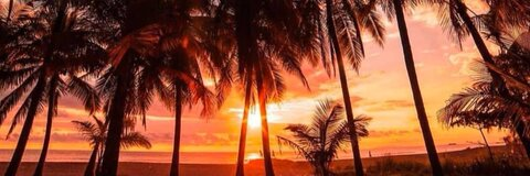 Video leaks savagehipster Video leaks savagehipster