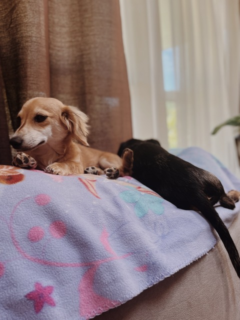 Video leaks savrose143