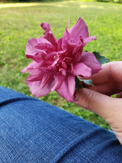 Video leaks savyboo1