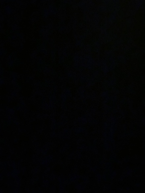 Video leaks sbmwox