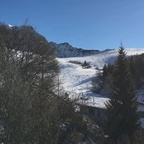 scarcella Profile Picture