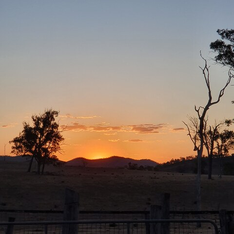 Video leaks scarletofthenight