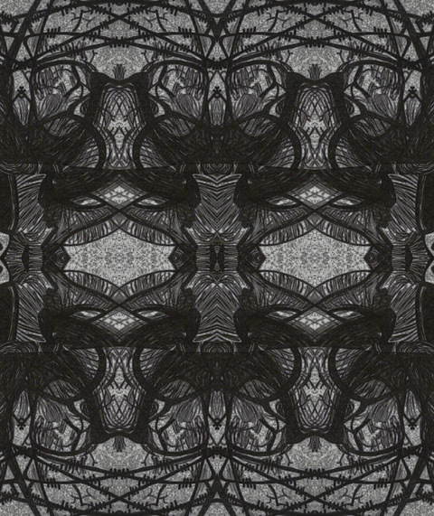 Header of schlina