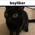 schmuugums Profile Picture