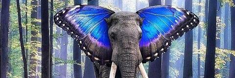 Video leaks scottyjohn1