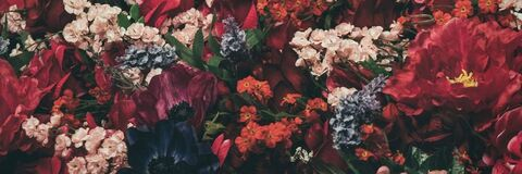 Video leaks sebastianvegas