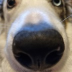 second__breakfast Profile Picture