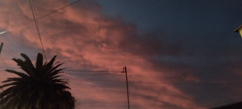 Video leaks selenebutterfly