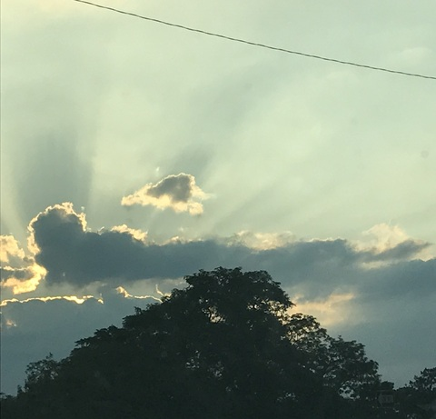 Video leaks shanndog98