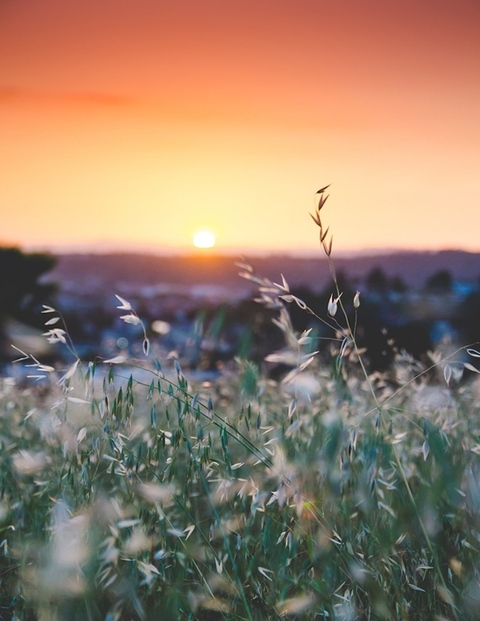 Video leaks shapefulshan