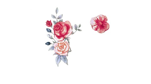 Video leaks sharidan