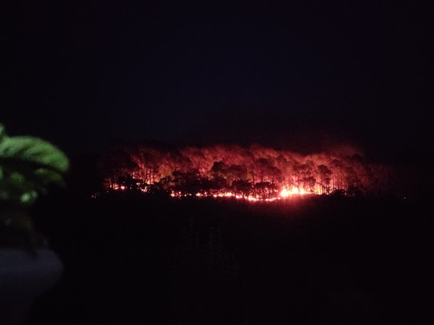 Video leaks sharmaritik21