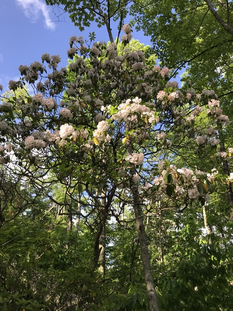 Video leaks sherezaki2