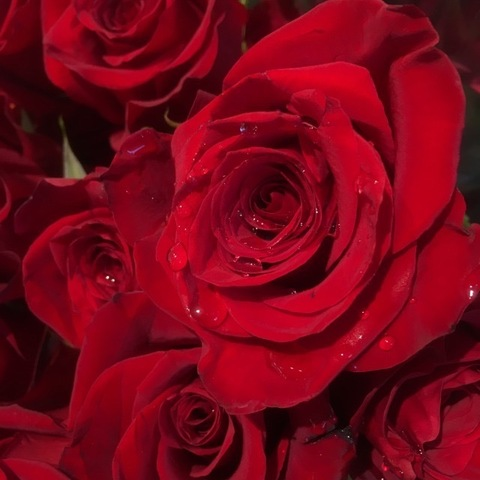 Video leaks shesatlantis