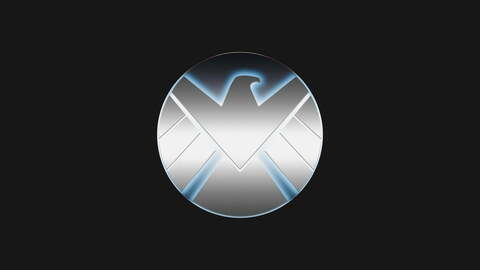 Video leaks shield