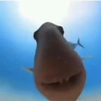 Emilie (@shrekinator9000) Leaks OnlyFans 

 profile picture