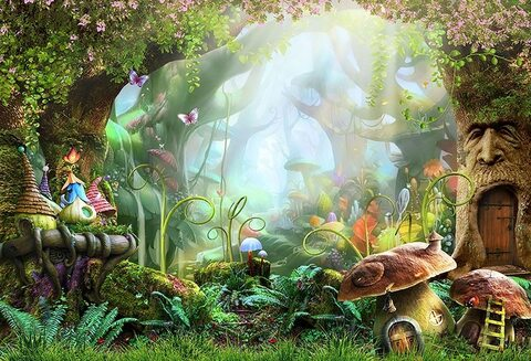 Video leaks shroomwizard