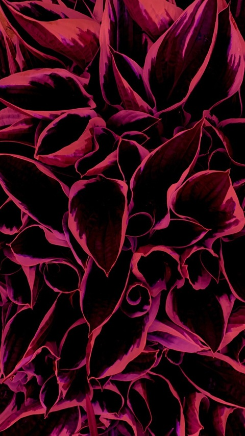 Video leaks shy_guy11