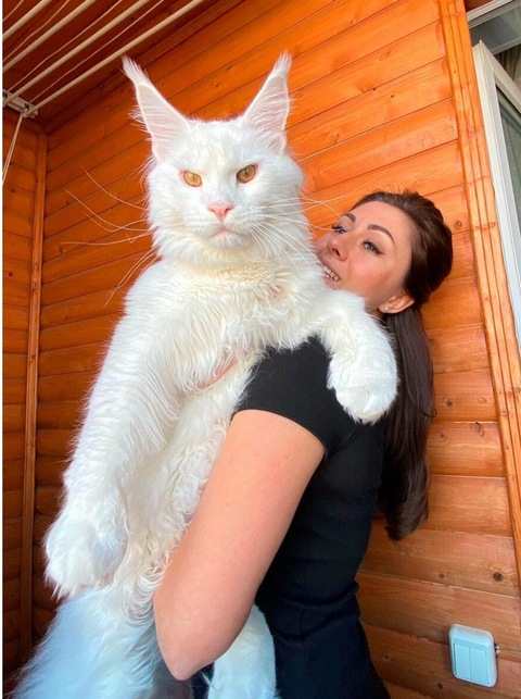 Video leaks siennahill