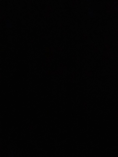 Video leaks siliconegal