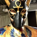 sillybunny Profile Picture