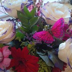 silveride Profile Picture