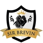 sirbrevin OnlyFans Leaks 

 profile picture