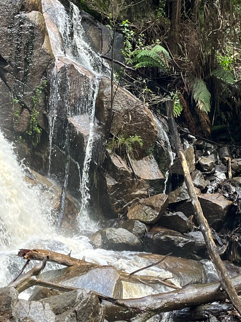 Video leaks sjayde1.0