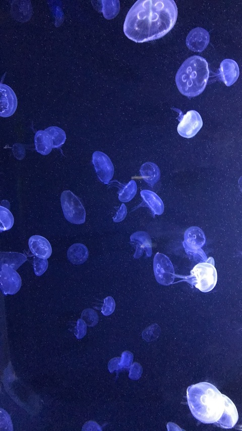 Video leaks skye5210