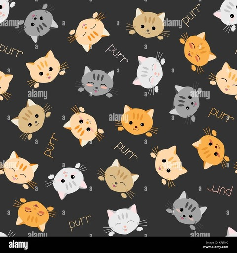 Video leaks skykitten22