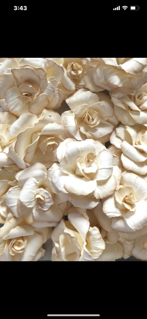 Video leaks sleepywsirens00