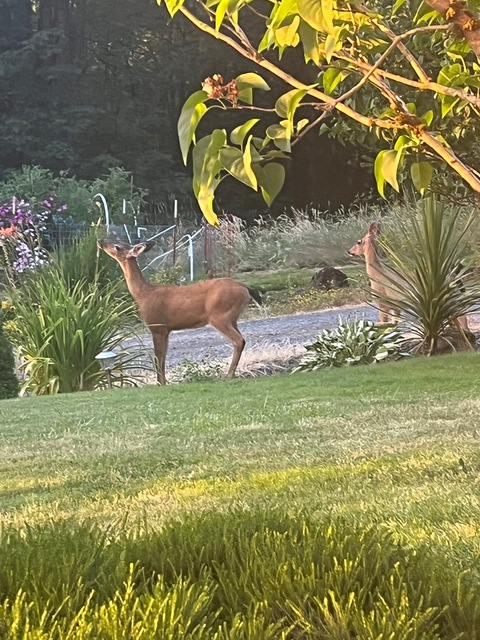 Video leaks slickshawty420