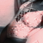 smithlily5 Profile Picture