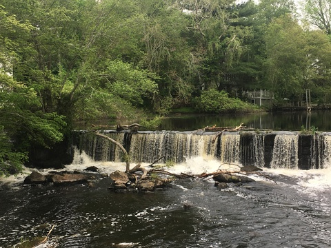 Video leaks smokingembers