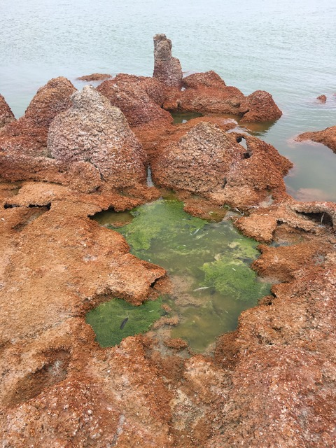 Video leaks sol.afrania