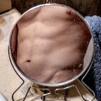 spathyfillum Profile Picture