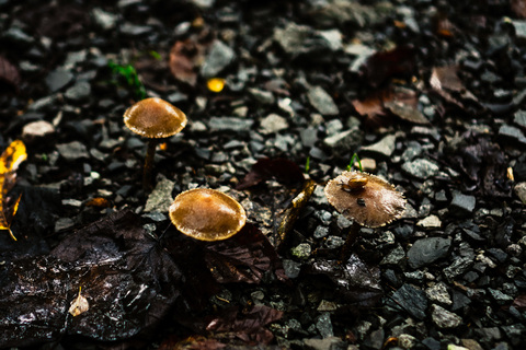 Video leaks sperm_god