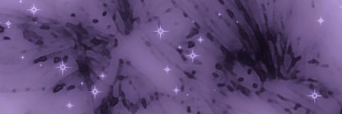 Video leaks splitkai