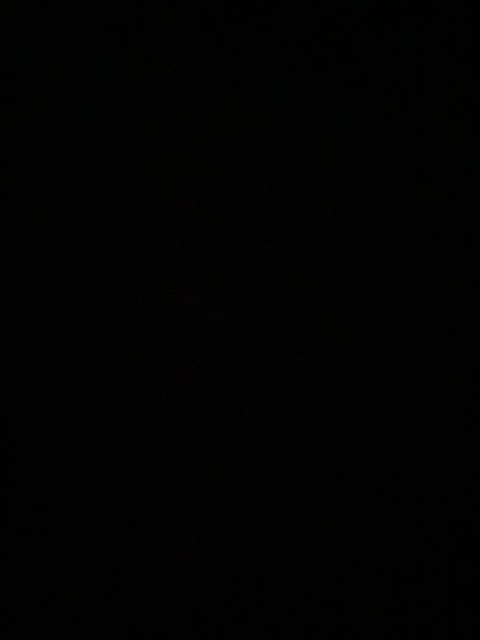Video leaks sporewh0re